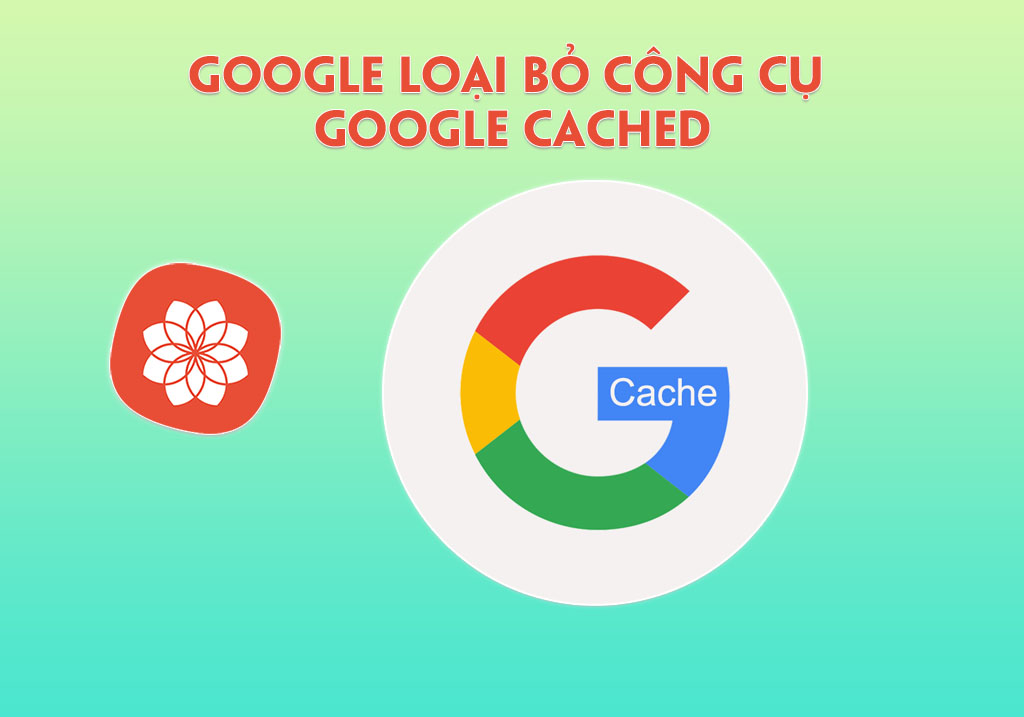 Google loại bỏ công cụ Google Cached