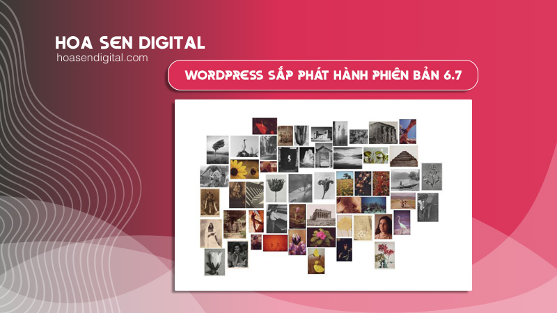 Wordpress sắp phát hành phiên bản 6.7